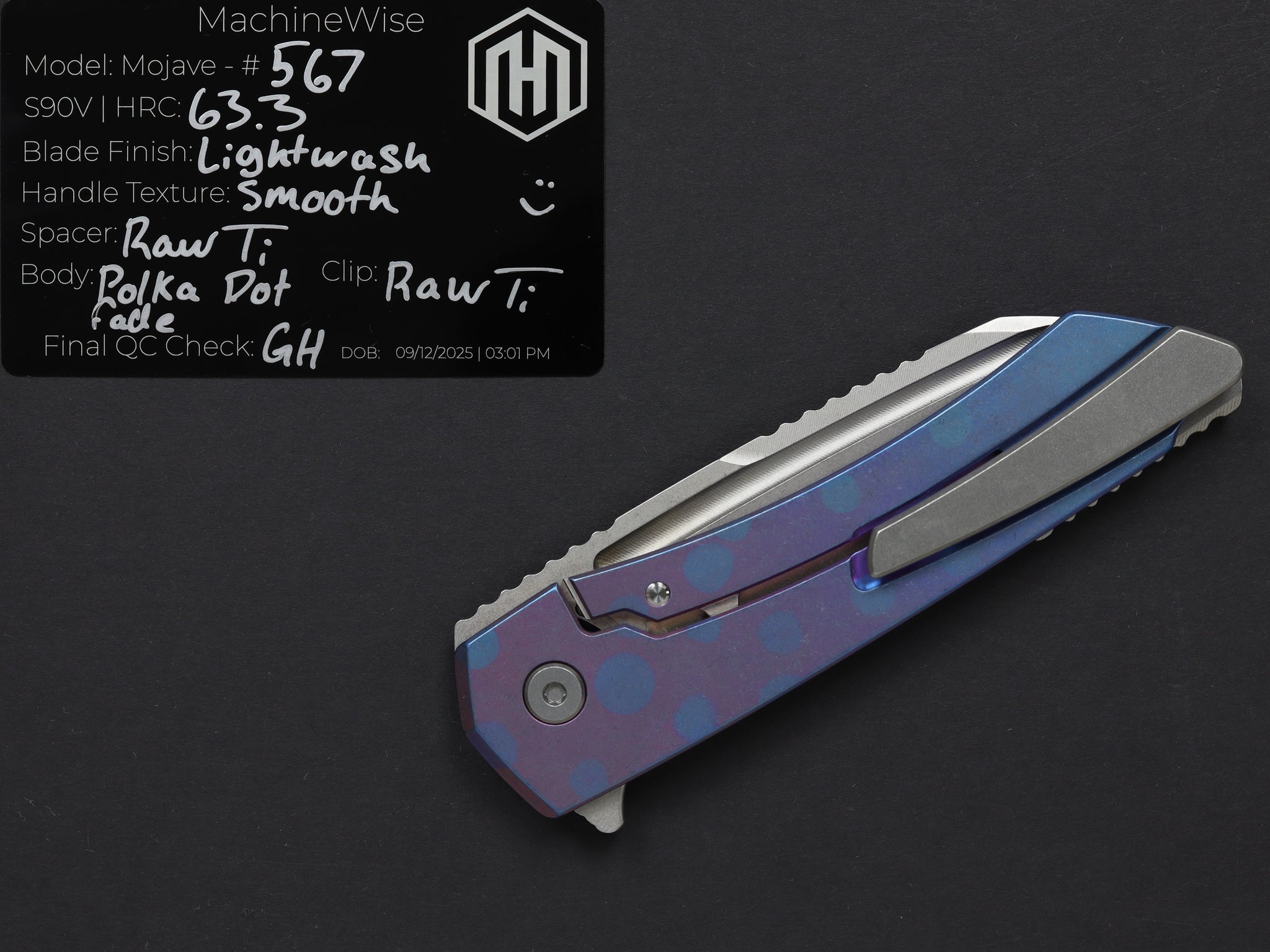 Mojave 0567